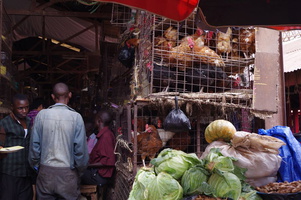 huehner verkauf kampala