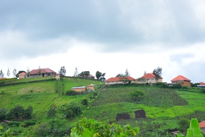 2021-05-11 - Nyamirima Schools Gardens